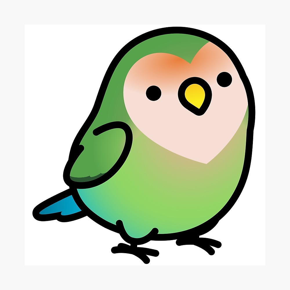 1000x1000 chubby seagreen peach faced lovebird photographic print