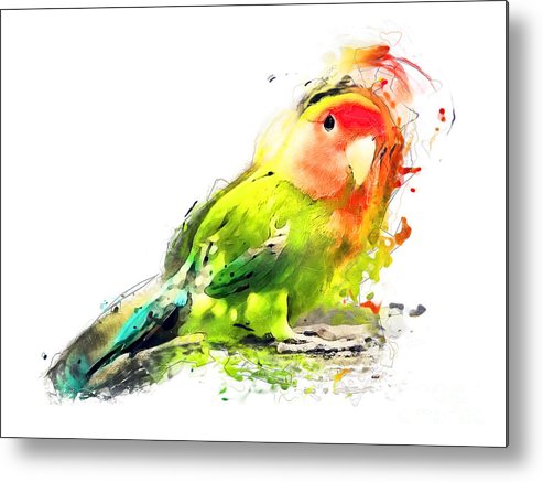493x437 Lovebird Watercolor Painting Metal Print