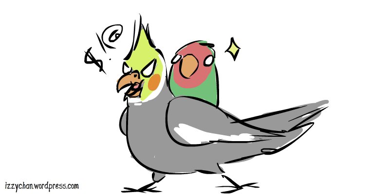 760x400 Lovebird Riding A 'tiel