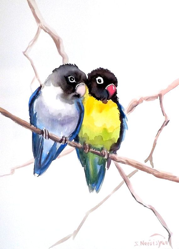 570x794 lovebirds, original watercolor painting, x in, home birds