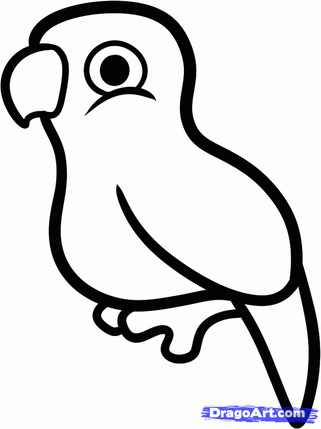 646x863 Step How To Draw A Lovebird For Kids