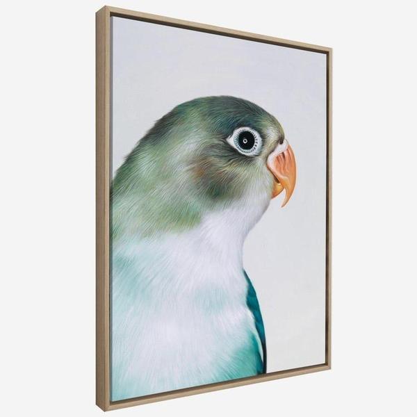 600x600 Cooper The Lovebird Canvas Wall Art Print Wall Decor The Print
