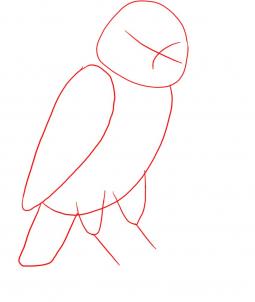 255x302 Draw A Lovebird, Step