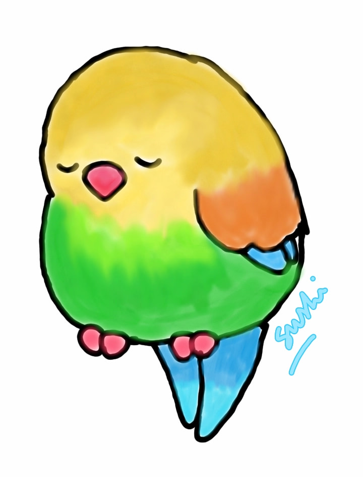 720x945 I Love Birds More Than Anyone Else In This World They Are