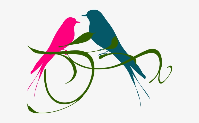 820x510 Lovebird Clipart Pink Bird