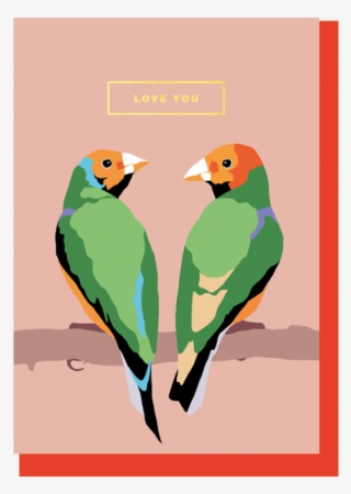 320x450 Lovebird Giant Panda Vector Birds Transprent Png