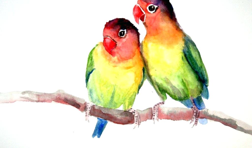 1024x600 Lovebird Paintings Drawn Stick Drawing Best Love Bird