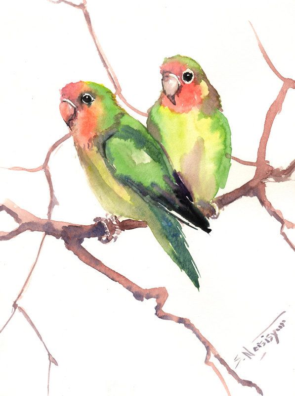 597x800 Lovebirds, Original Watercolor Painting, X In, Two Birds Art