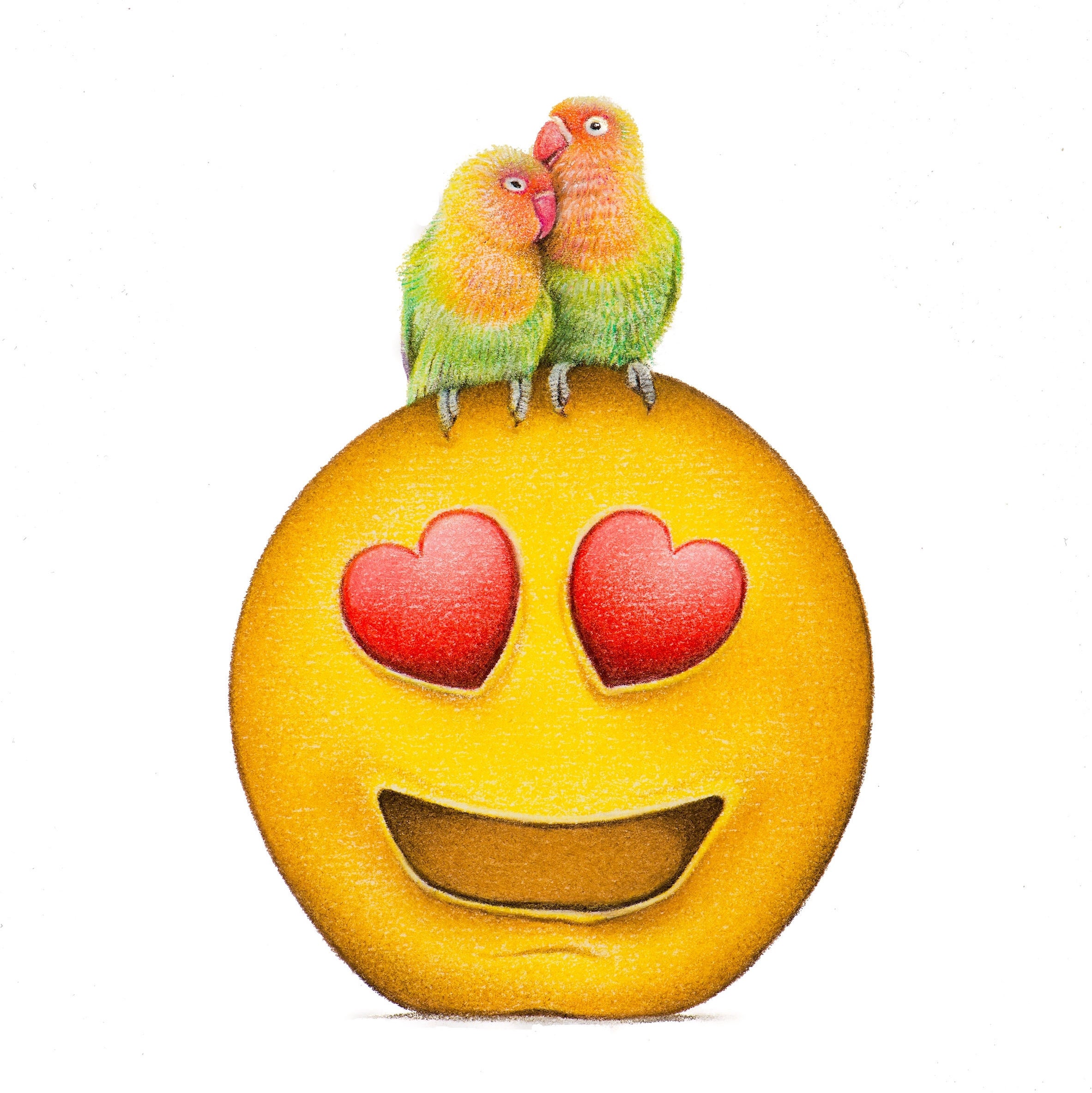 2365x2367 Lovebirds Etsy