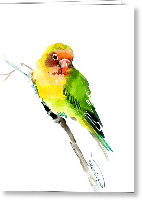 455x646 Lovebirds Greeting Cards
