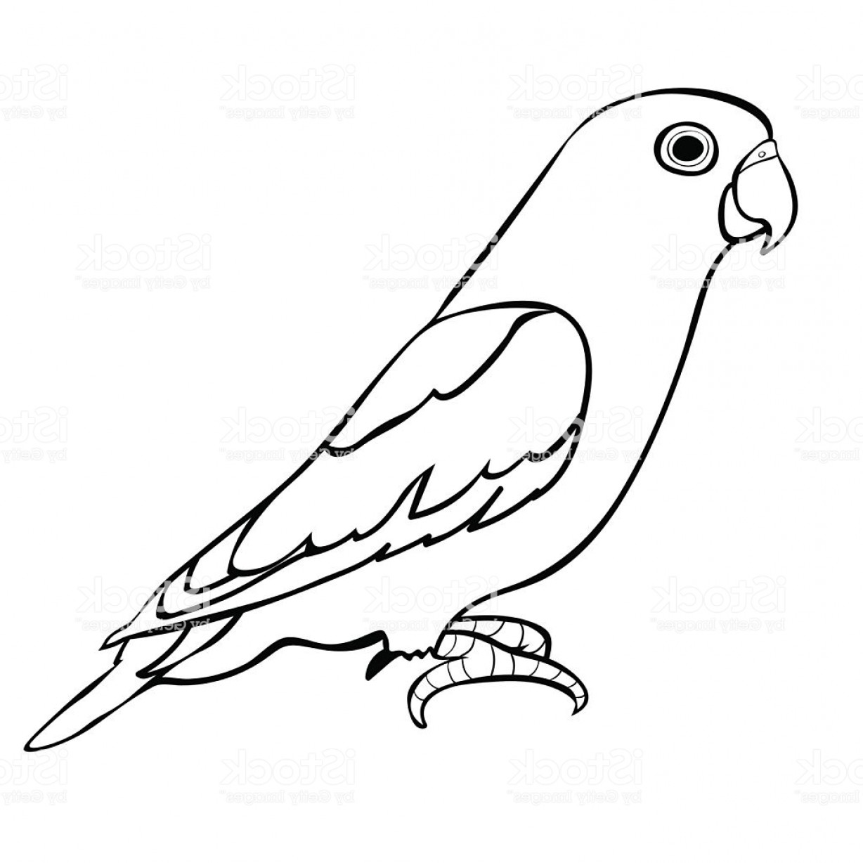 1228x1228 Lovebirds Parrot With A Red Beak Vector Illustration Gm Soidergi