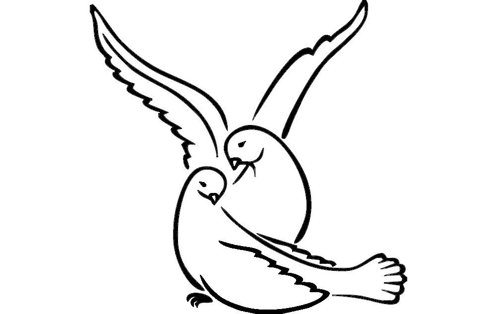 1002x633 Lovebirds Amee House