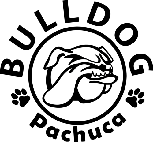 500x464 pachuca drawing lowrider magazine transparent png clipart free