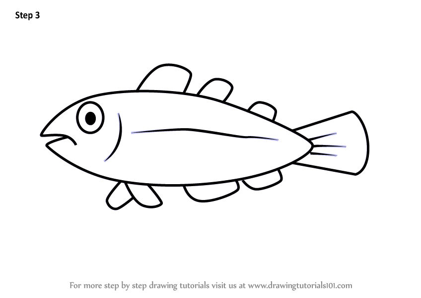 848x602 Huge Collection Of 'cool Fish Drawing' Download More Than