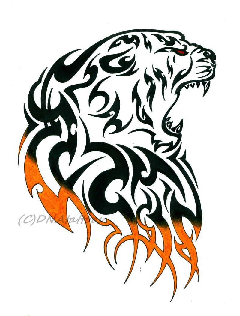 800x1054 Tiger Tribal