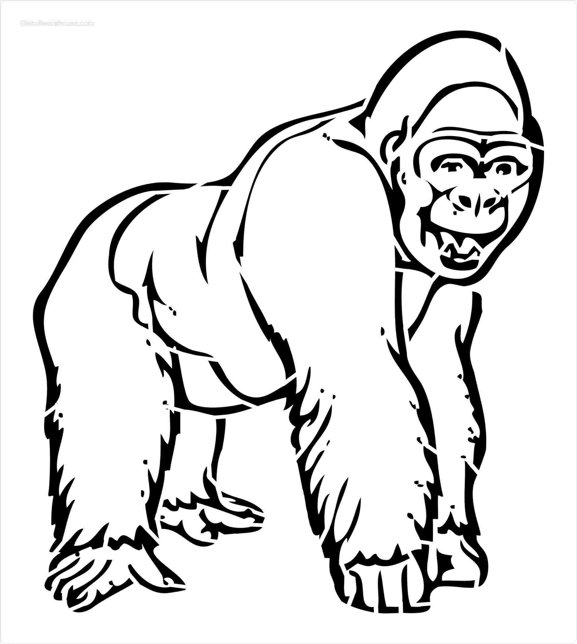 1900x2123 Gorilla Animal Stencils For Drawing Stencil To Buy Online