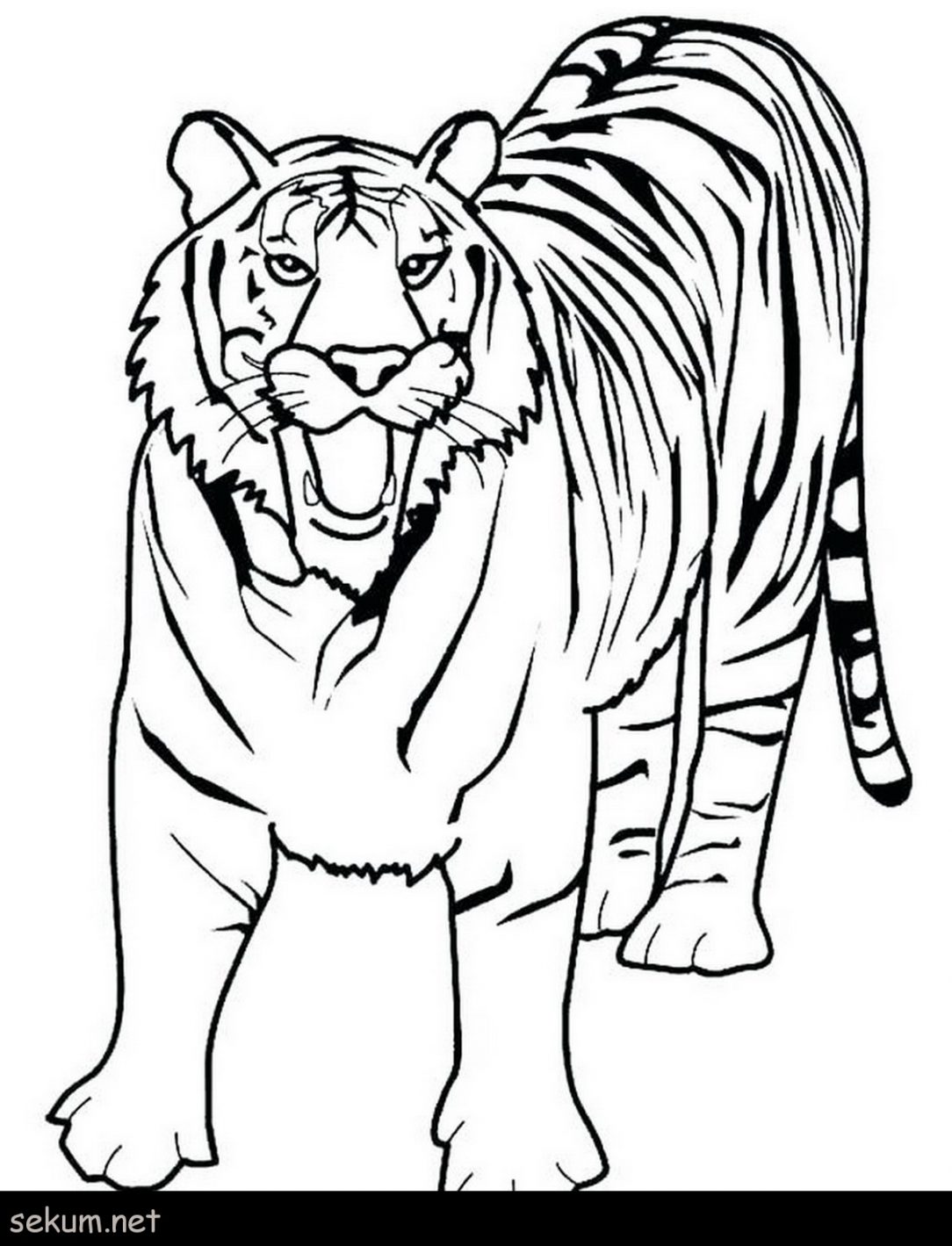 1084x1419 Pages For Adults Tiger Of Lsu And Lions Color Book Face Free