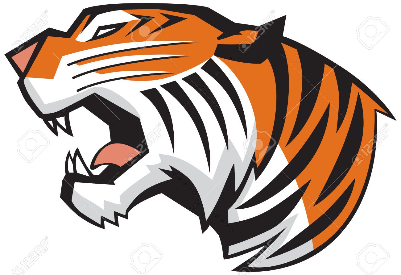 1300x891 Tiger Teeth Clipart