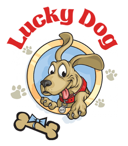 264x300 lucky dog raffle ticket drawing berkshire humane society