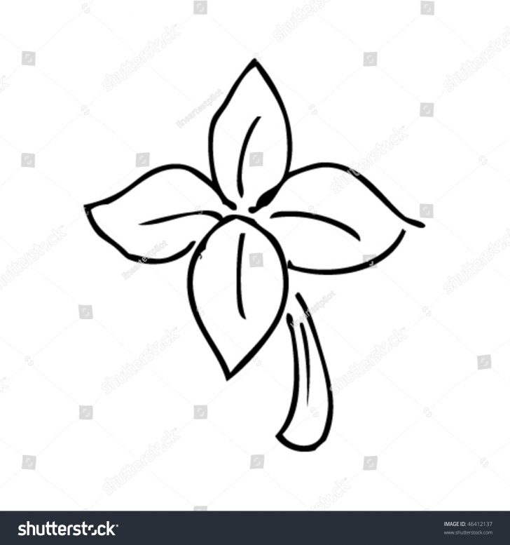 728x777 Tri Clover Drawing Celtic Art Four Leaf Cartoon Tattoo Vector