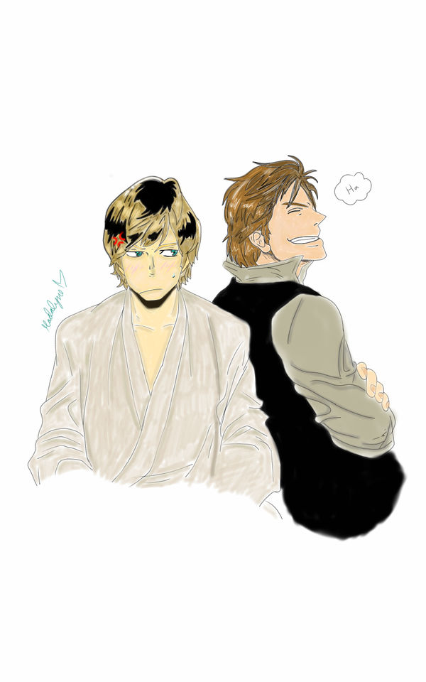 600x960 Luke Skywalker And Han Solo