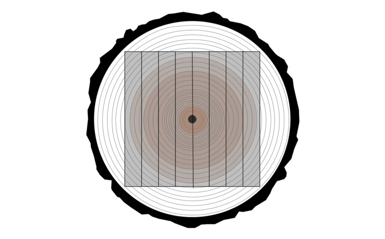 750x466 How Tree Trunks Are Cut To Produce Wood With Different Appearances