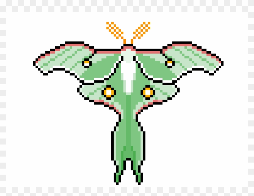 840x651 Luna Moth