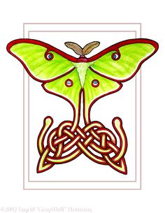 236x305 Luna Moth Clipart Vintage