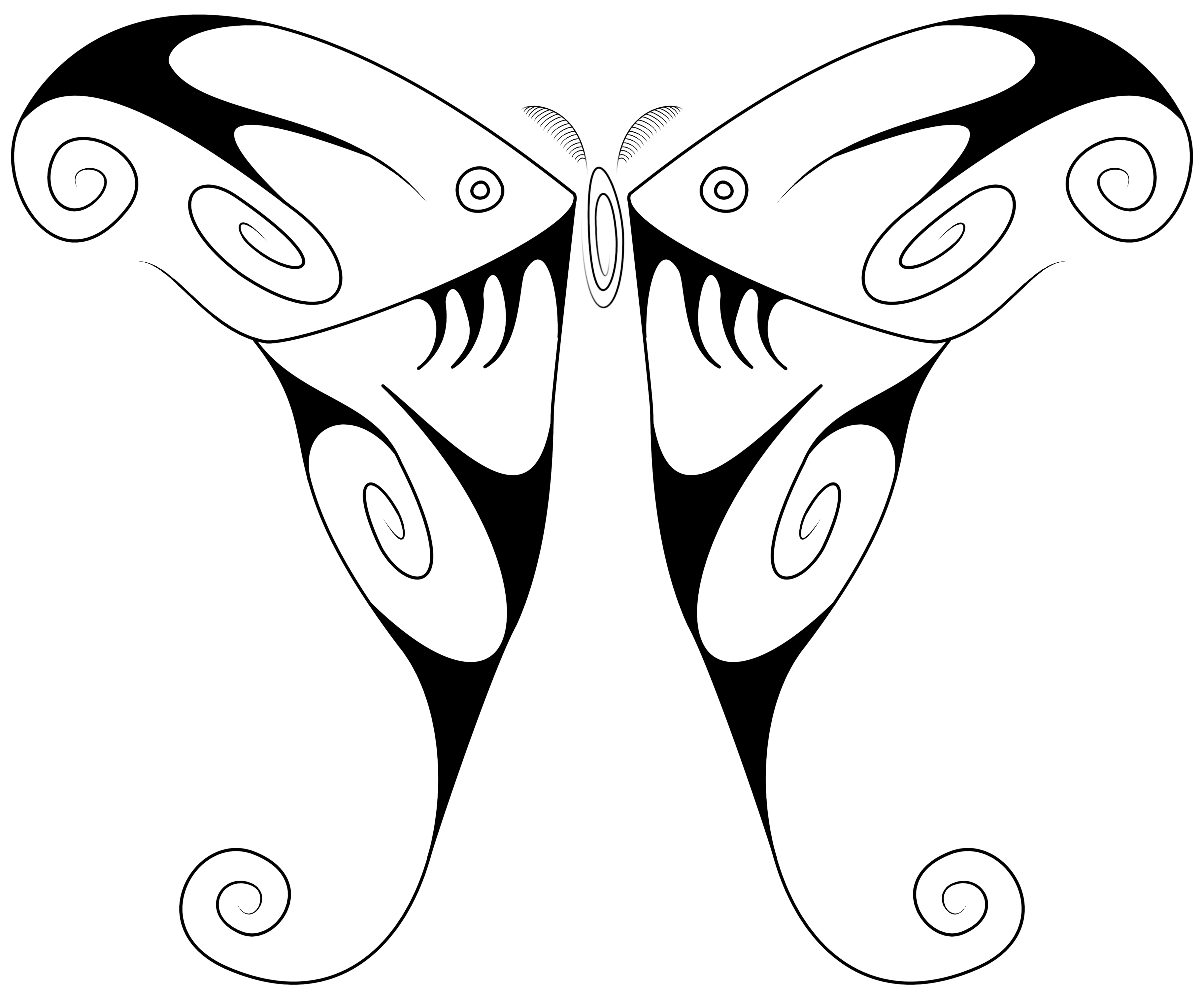 3648x3024 Swirly Luna Moth Full Masonillustration