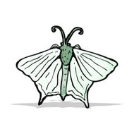190x190 Vector Hand Drawn Deaths Head Hawk Moths Illustration Premium
