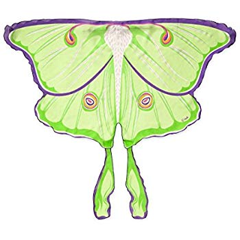350x350 Butterfly Fantasy Wings, In Luna Moth