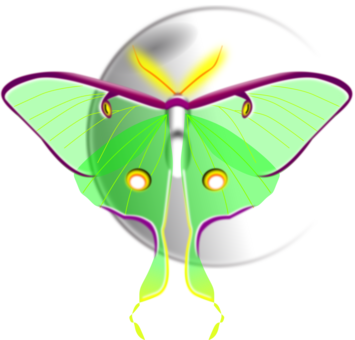 355x340 Butterfly Luna Moth Computer Icons Download Cc0