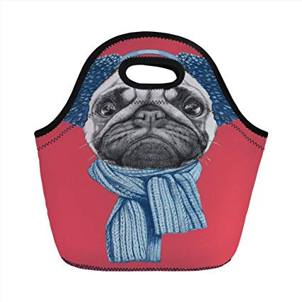 425x425 portable bento lunch bag, pug, detailed dog drawing