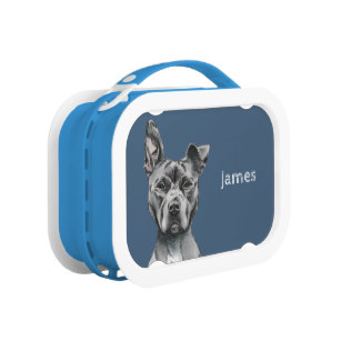 307x307 Pencil Drawing Lunch Boxes Zazzle