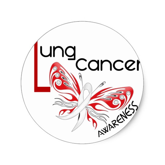540x540 Lung Cancer Butterfly Classic Round Sticker