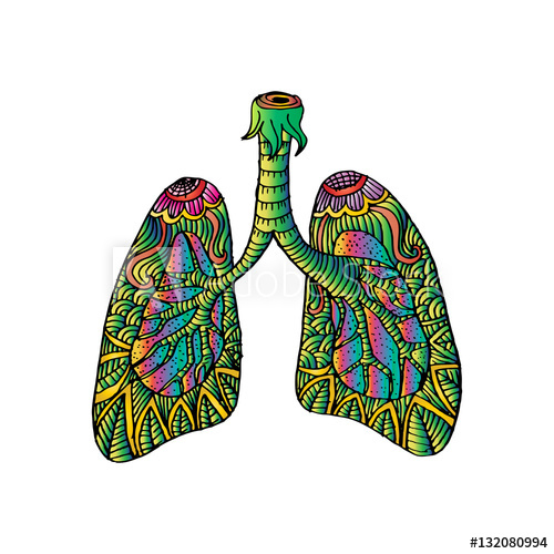 500x500 Illustration Of Lungs Doodle Drawing Of Human Organ