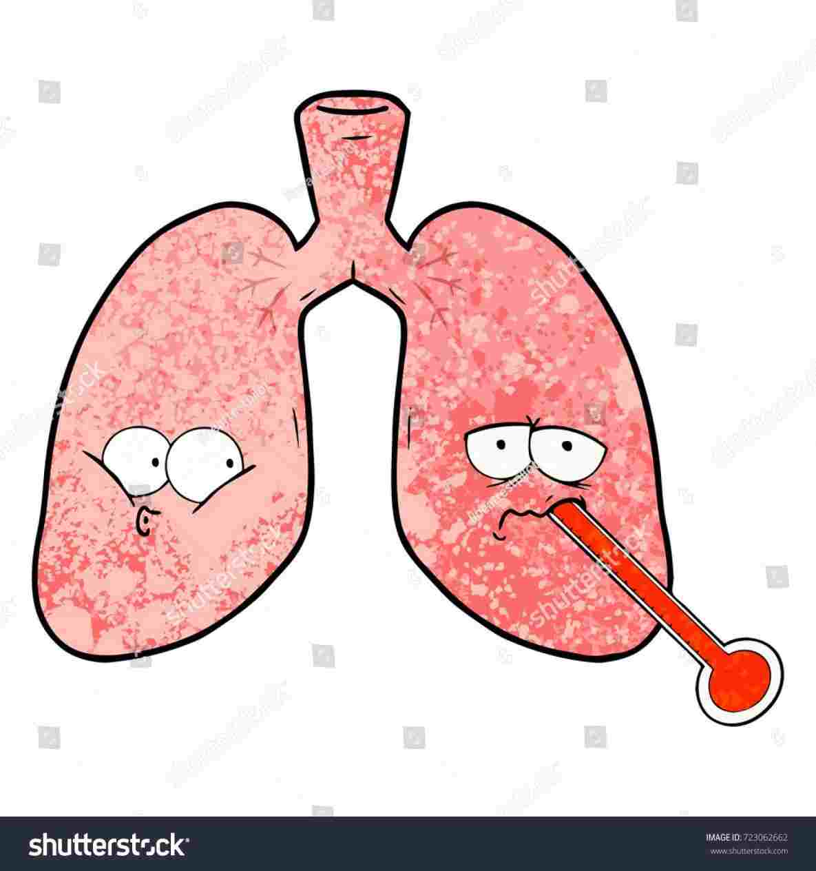 1185x1264 Organ Healthy Vs Stock Vector Royalty Free Rhshutterstockcom