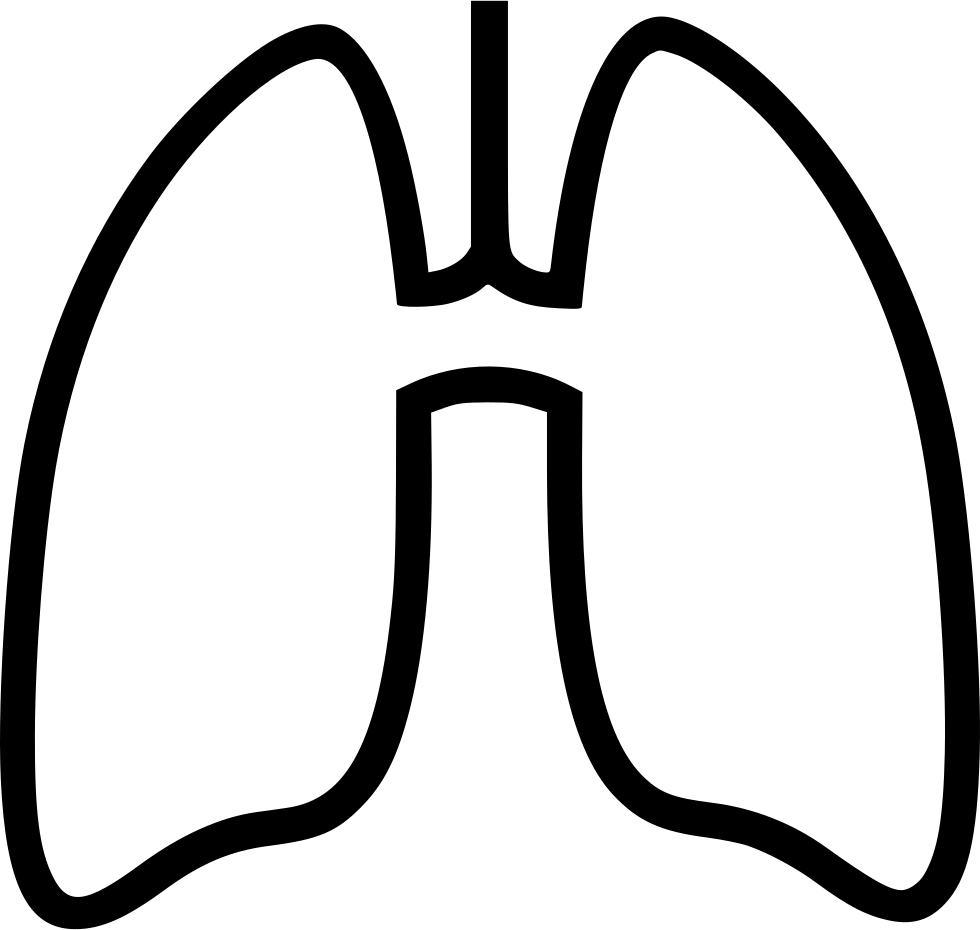 980x930 Lungs Drawing For Free Download
