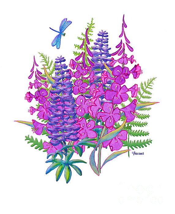 572x700 Fireweed And Lupine Image Watercolordigital Art