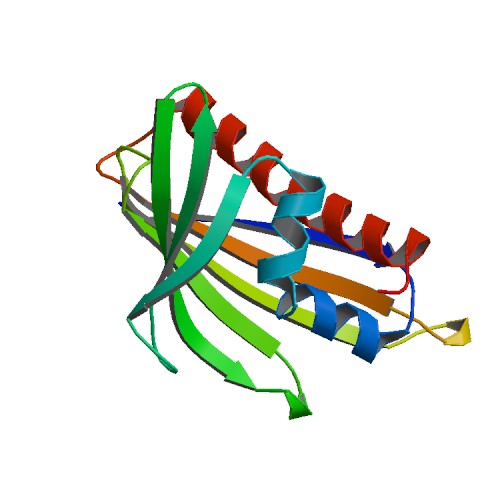 500x500 rcsb pdb