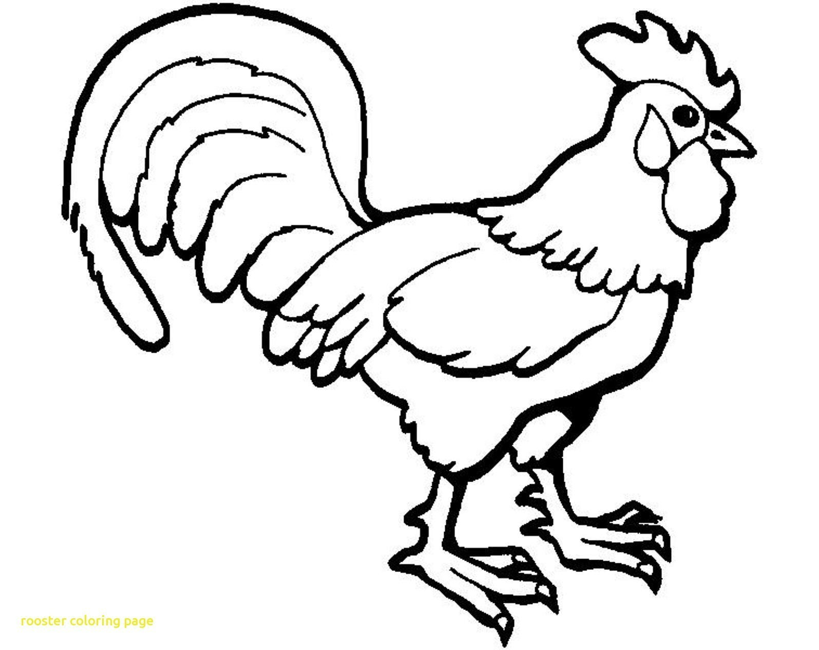 1595x1266 Rooster Drawing For Kids And Rooster Coloring