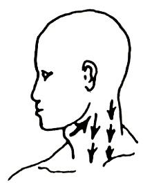 220x283 exercises to help drain your lymphatic system reflexology