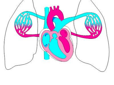 400x300 Mariah Downey