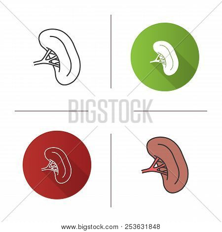 450x470 human spleen icon lymphatic system organ flat design, linear