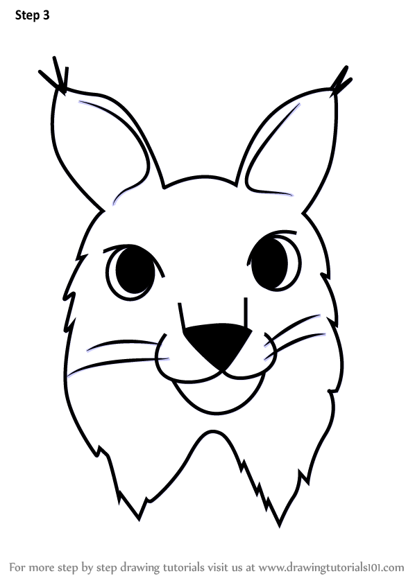 598x844 learn how to draw a canada lynx face for kids