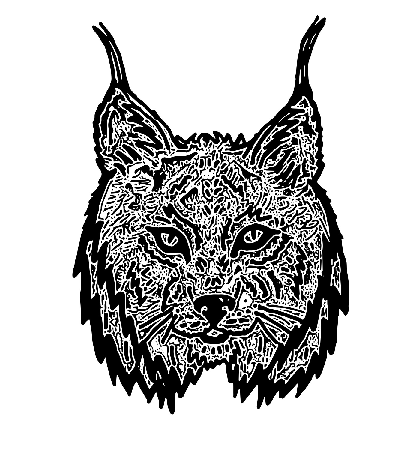1400x1560 lynx drawing profile for free download