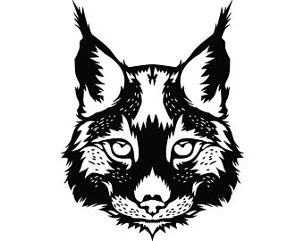 340x270 Caracal Drawing Etsy