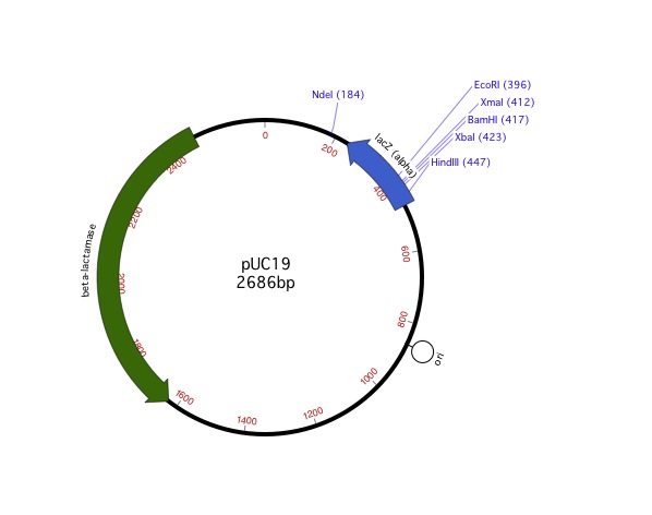 598x472 Graphics In Macvector Exporting Publication Quality Graphics