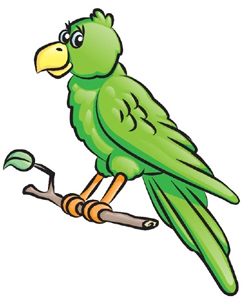 250x308 How To Draw Parrots Drawing Tutorials Drawing How To Draw