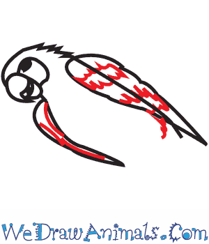 300x350 How To Draw A Hyacinth Macaw